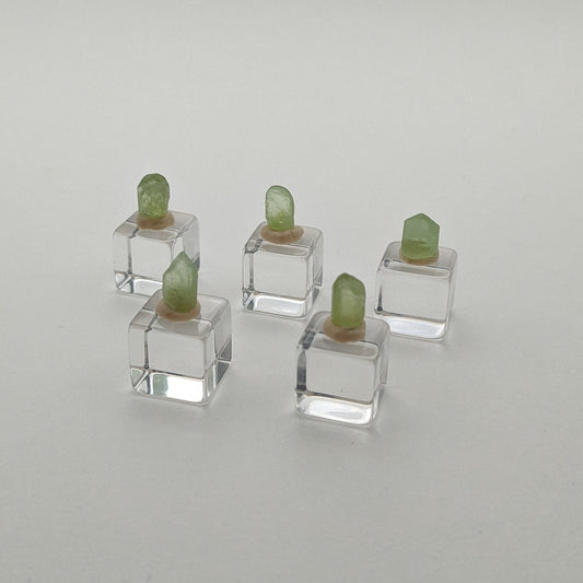 Peridot Mini Crystal Selection, 5 pieces, 7.55 carats, Skardu District, Baltistan, Pakistan