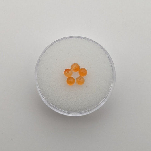 Carnelian cabochon, 5 pieces 3 mm round